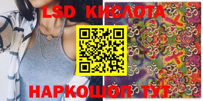 стаф Будённовск