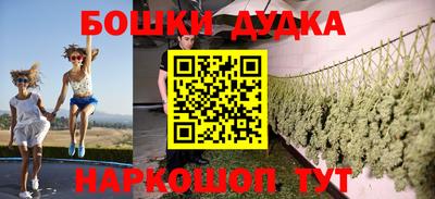стаф Будённовск