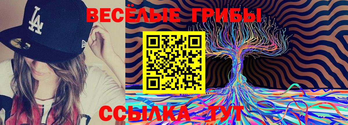 Псилоцибиновые грибы GOLDEN TEACHER Шумерля