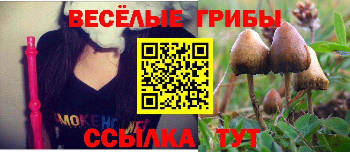 Шумерля  Псилоцибиновые грибы MAGIC MUSHROOMS  Вход с VPN 