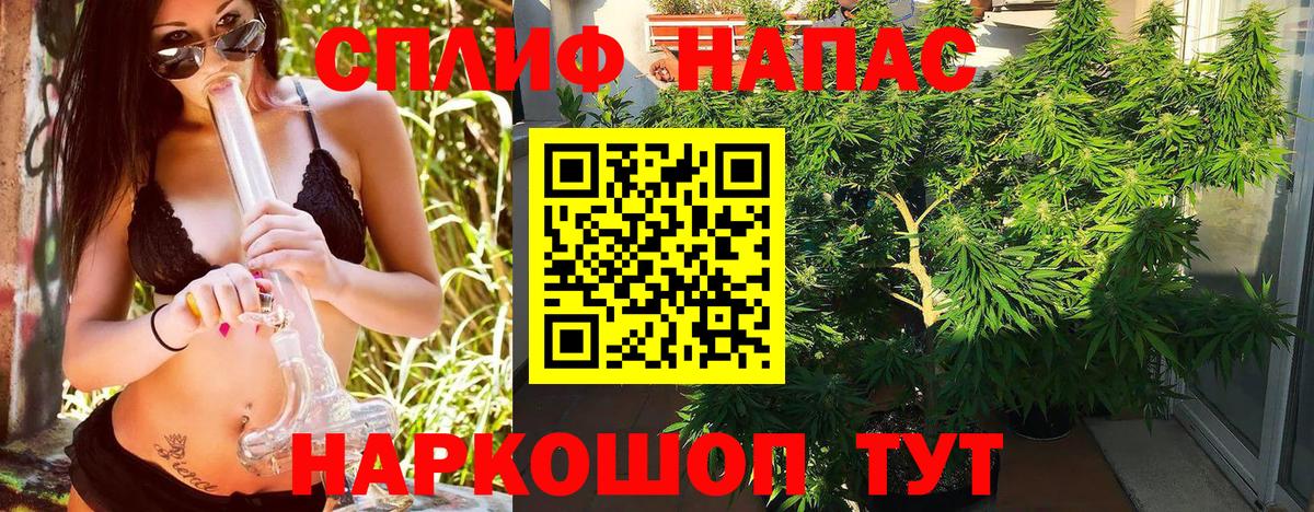 МАРИХУАНА семена Шумерля